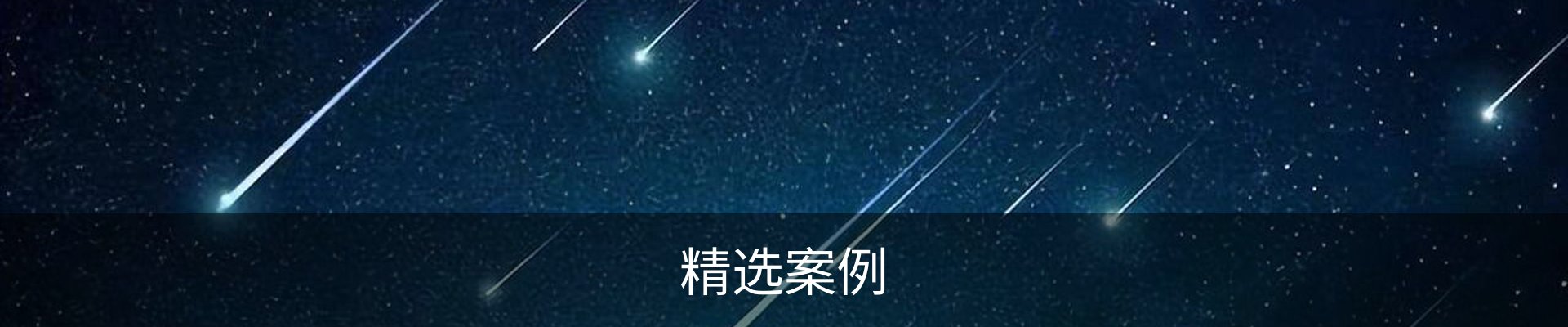 精选案例